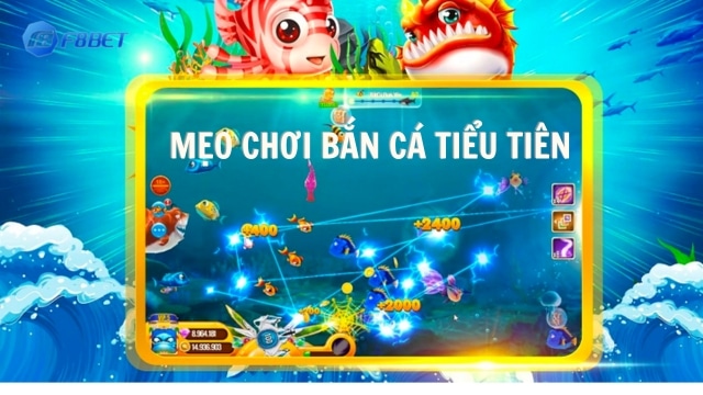 Mẹo chơi bắn cá tiểu tiên từ các cao thủ, chuyên gia